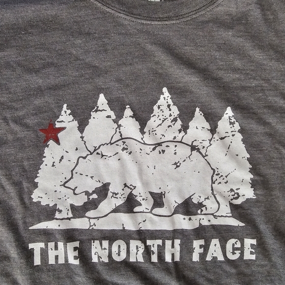 The North Face Men's XL SS Graphic T-Shirt Gray EUC - Picture 2 of 4